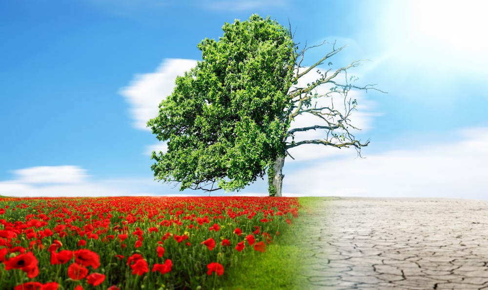 Carbon Footprint